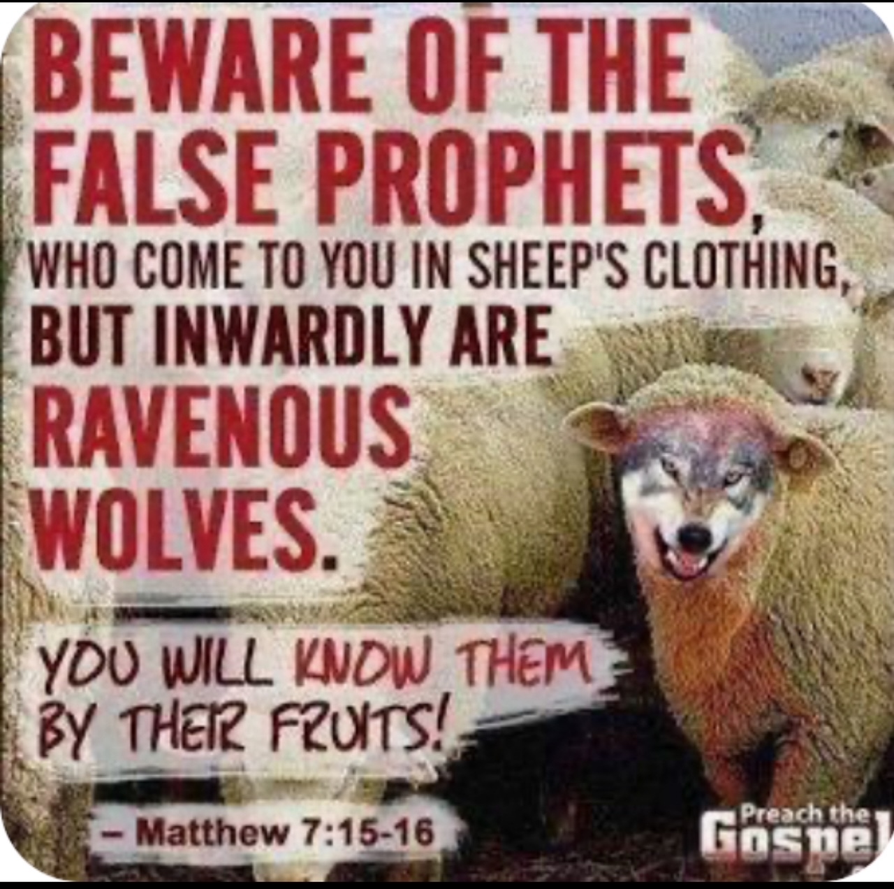 Matthew 7:15-16