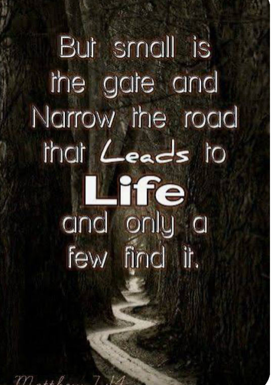 Matthew 7:14 - But small is the gate and narrow the road that leads to life, and only a few find it.