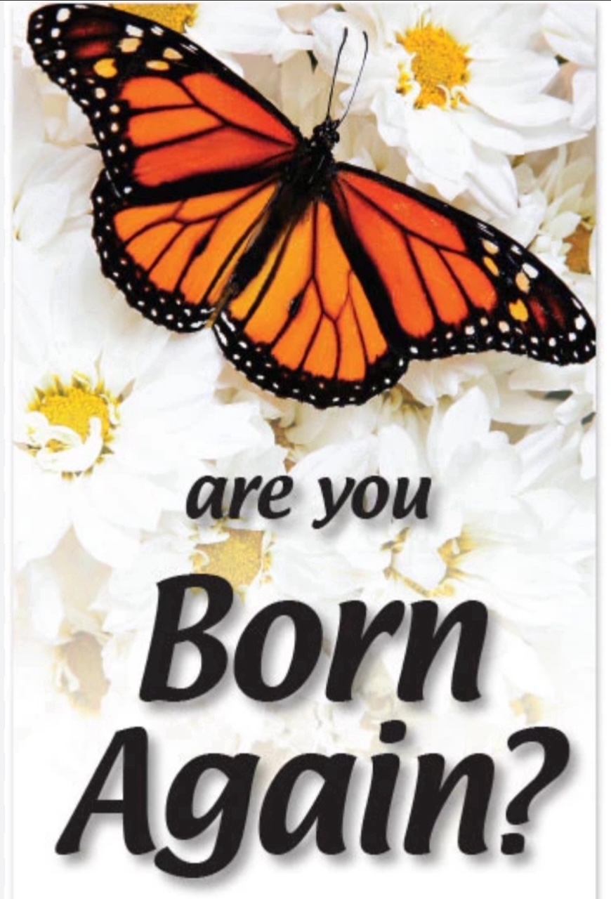 Are you Born Again?